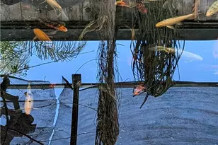 546 Griswold Ave, San Fernando, CA 91340 - Photo 26