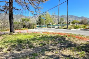 3183 Olive Ave, Altadena, CA 91001 - Photo 8