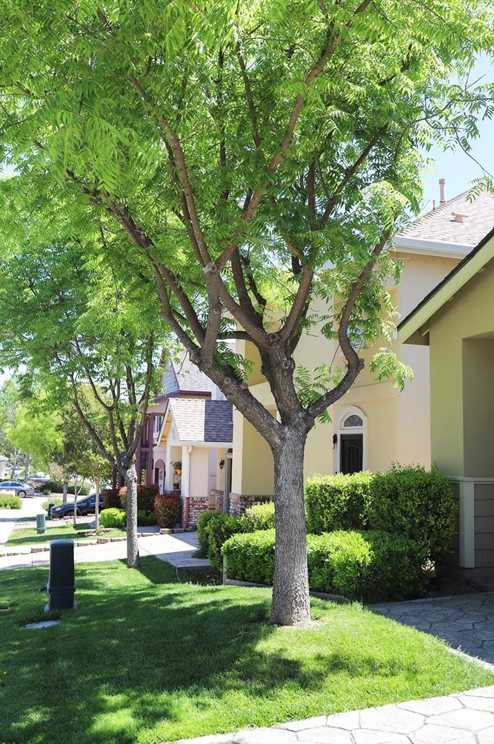 989 La Costa Ct, Atascadero CA  93422-5821 exterior