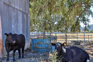 5720 Huasna Townsite Rd, Arroyo Grande, CA 93420 - Photo 56