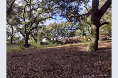 9500 Santa Rosa Creek Road, Templeton, CA 93465 - Photo 10