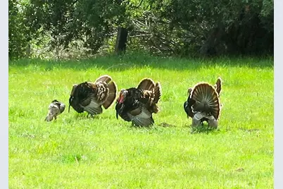 9500 Santa Rosa Creek Road, Templeton, CA 93465 - Photo 18