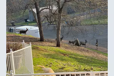 40820 Oak Ridge Drive, Three Rivers, CA 93271 - Photo 54