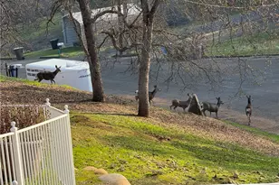 40820 Oak Ridge Dr, Three Rivers, CA 93271 - Photo 54