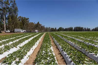 0 Indiana Way, Nipomo, CA 93444 - Photo 8