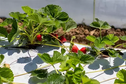 0 Indiana Way, Nipomo, CA 93444 - Photo 10