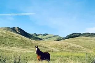 4905 Huasna Rd, Arroyo Grande, CA 93420 - Photo 44