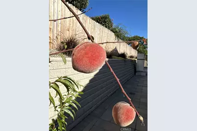 4654 Hummel Drive, Santa Maria, CA 93455 - Photo 30