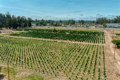 424 Bermuda Place, Nipomo, CA 93444 - Photo 38