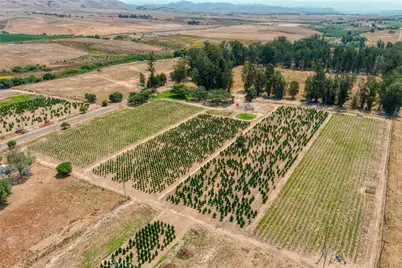 424 Bermuda Place, Nipomo, CA 93444 - Photo 44