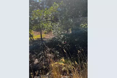 3236 Gleason Street, Cambria, CA 93428 - Photo 1