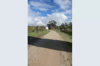 4650 Davenport Creek Road, San Luis Obispo, CA 93401 - Photo 4