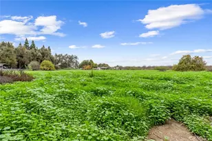 18701 Lort Dr, Visalia, CA 93292 - Photo 38