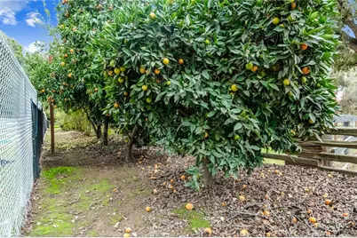 18701 Lort Drive, Visalia, CA 93292 - Photo 48