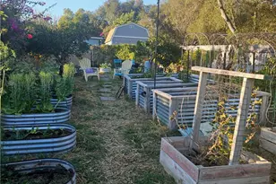 3909 Reche Road, Fallbrook, CA 92028 - Photo 6