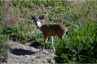 1294 Hollysprings, Santa Maria, CA 93455 - Photo 48