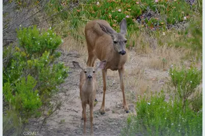 1294 Hollysprings, Santa Maria, CA 93455 - Photo 50