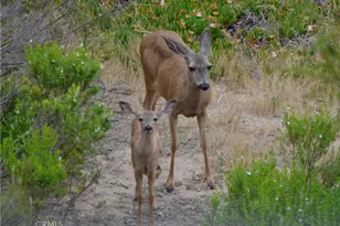 1294 Hollysprings, Santa Maria, CA 93455 - Photo 50