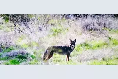 1294 Hollysprings, Santa Maria, CA 93455 - Photo 54