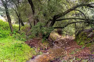 1825 Hi Mountain, Arroyo Grande, CA 93420 - Photo 56