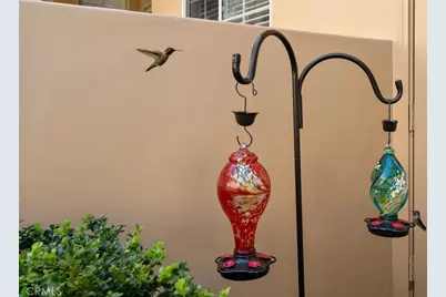 1189 Swallowtail, Nipomo, CA 93444 - Photo 32