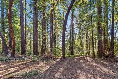 4419 Trout Gulch, Aptos, CA 95003 - Photo 2