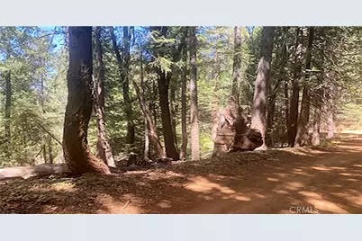 15052 Red Hill Spring Road, Nevada City, CA 95959 - Photo 2