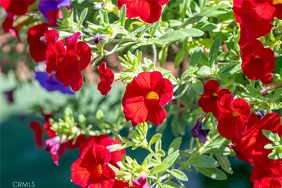 960 Wigeon Way, Arroyo Grande, CA 93420 - Photo 34