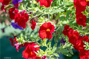 960 Wigeon Way, Arroyo Grande, CA 93420 - Photo 34