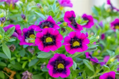 960 Wigeon Way, Arroyo Grande, CA 93420 - Photo 36