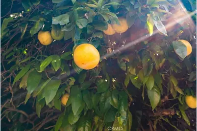 857 Mesa Drive, Arroyo Grande, CA 93420 - Photo 38