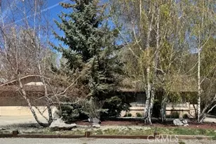 30081 Jamaica Dunes Dr, Tehachapi, CA 93561 - Photo 4
