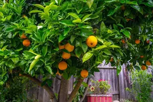 4553 Wavertree, San Luis Obispo, CA 93401 - Photo 48