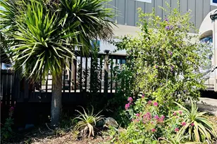 455 Orcas, Morro Bay, CA 93442 - Photo 4