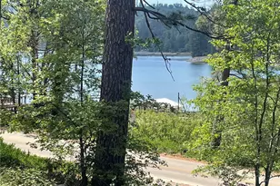 53327 Rd 432, Bass Lake, CA 93604 - Photo 60