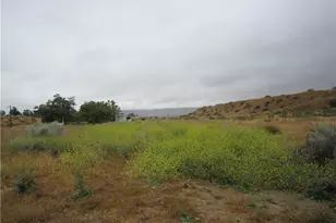 205 Castro Canyon Rd, Cuyama, CA 93252 - Photo 6