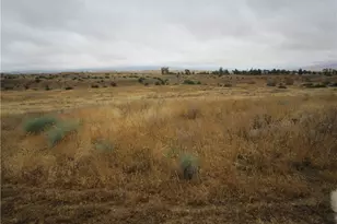 205 Castro Canyon Rd, Cuyama, CA 93252 - Photo 8