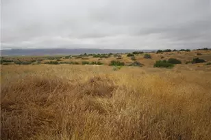 205 Castro Canyon Rd, Cuyama, CA 93252 - Photo 6