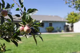 564 Stansbury, Santa Maria, CA 93455 - Photo 40