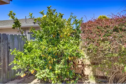 444 Walnut, Arroyo Grande, CA 93420 - Photo 6