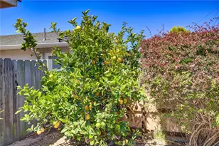 444 Walnut, Arroyo Grande, CA 93420 - Photo 6