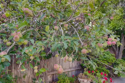 1400 Blackberry, Arroyo Grande, CA 93420 - Photo 44