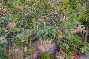 1400 Blackberry, Arroyo Grande, CA 93420 - Photo 44