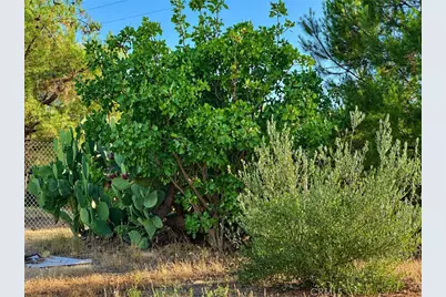 5430 Fa-Rousse, Paso Robles, CA 93446 - Photo 36