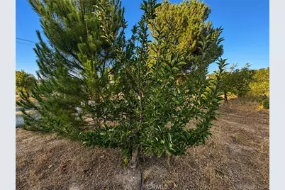 5430 Fa-Rousse, Paso Robles, CA 93446 - Photo 34