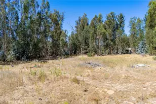 1831 Viejo Rd, Arroyo Grande, CA 93420 - Photo 38