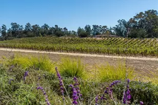 1194 Trail View Pl, Nipomo, CA 93444 - Photo 4