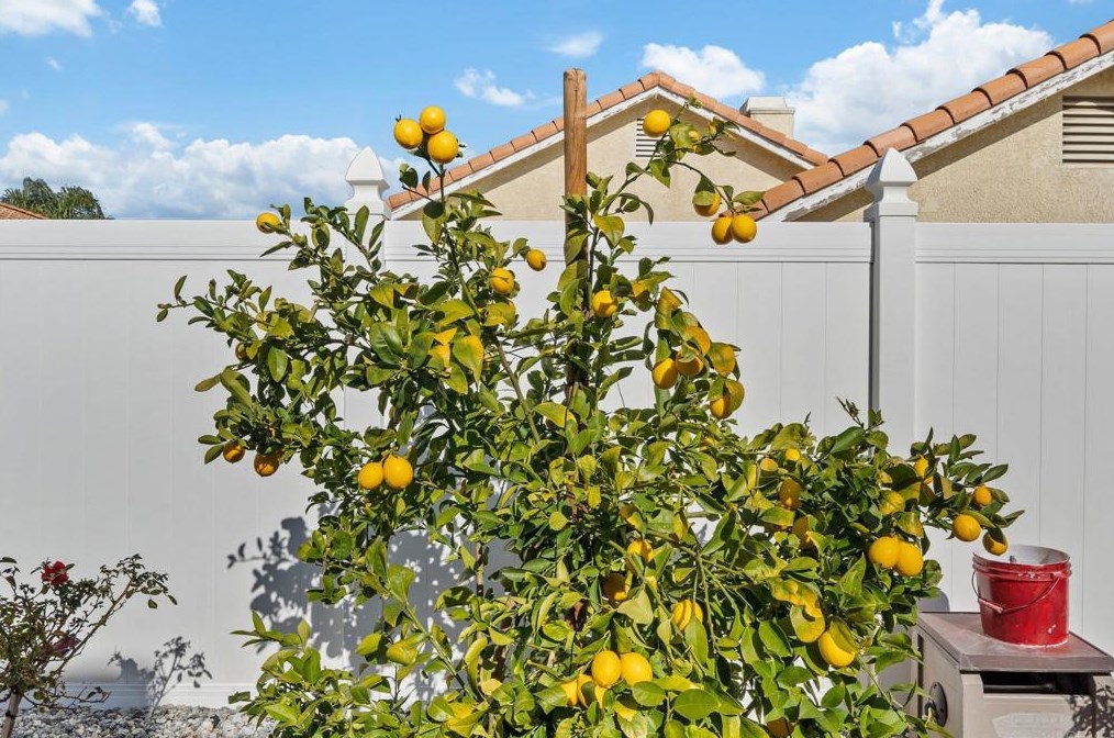 2616 Las Brisas Way, Hemet CA  92545-1580 exterior