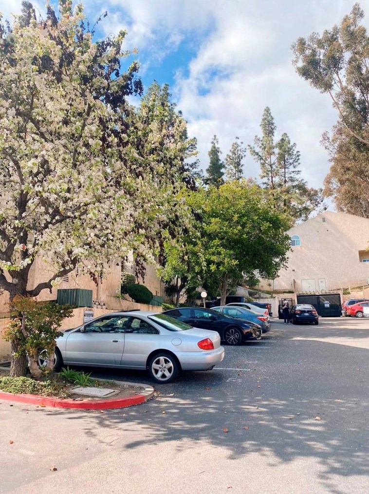 7940 University Ave #1, La Mesa, CA 91942