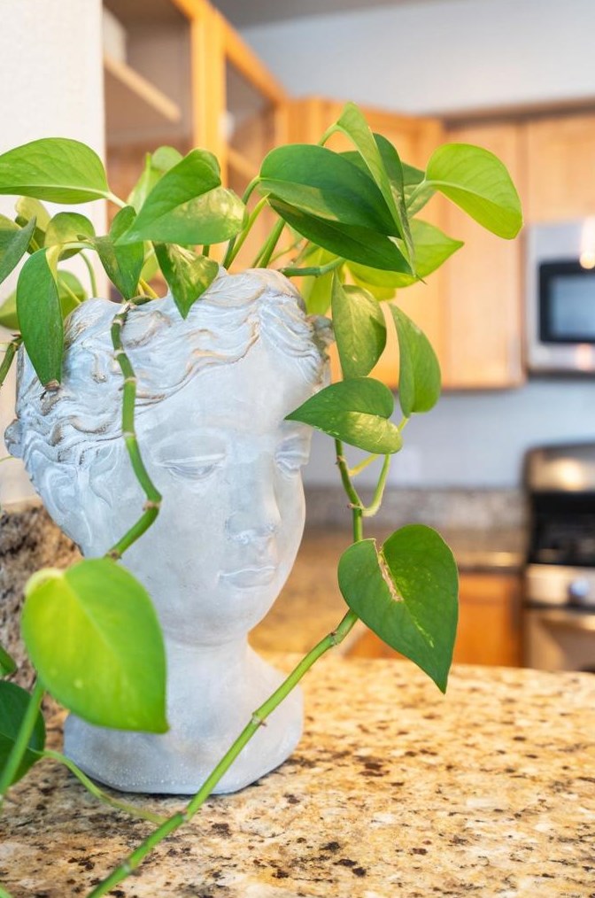 363 Rosecrans St, San Diego CA  92106-3527 exterior